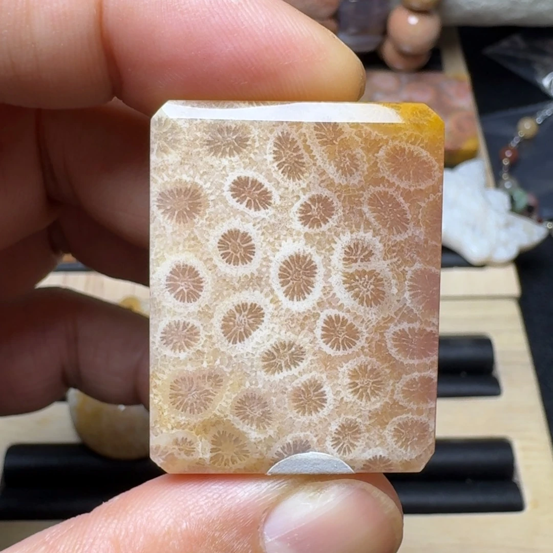 硅化玉未镶嵌纯天然色有机玉石保真色