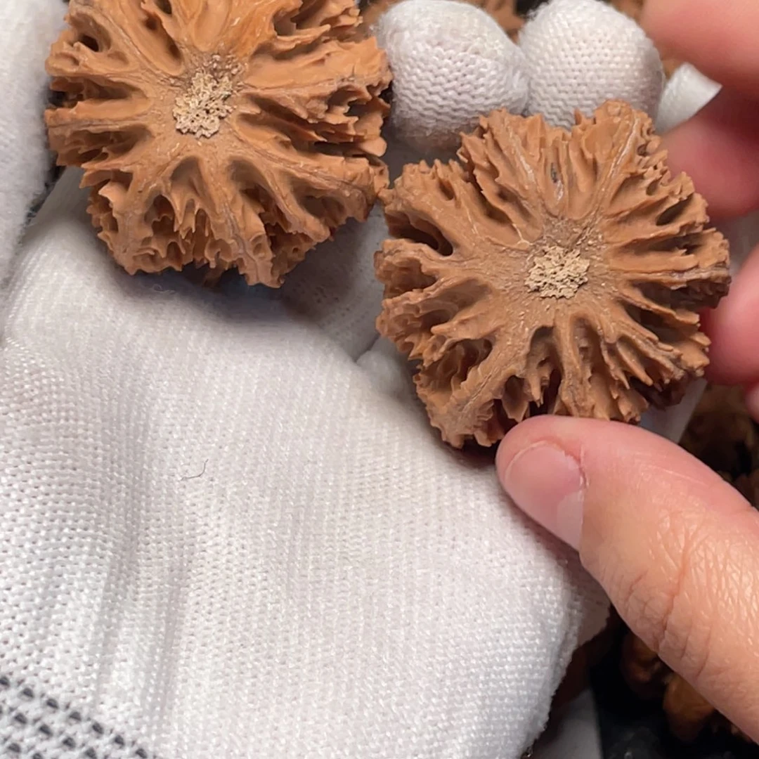 毒***影吊坠桃核11 秦岭灯笼野生小众