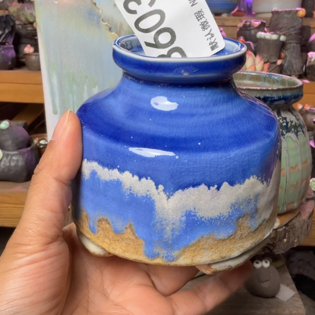 重庆小燕子欢迎大家603