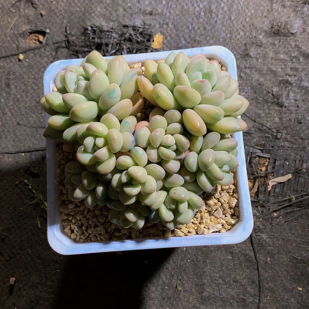 静*哈哈哈哈哈哈哈哈哈