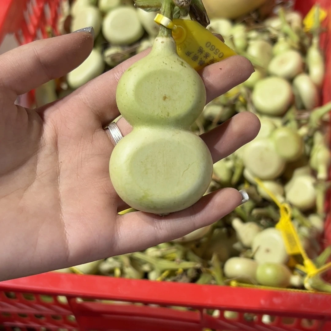 *****不包哈哈哈哈哈哈哈