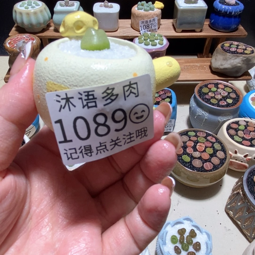 壹****i所见即所得 一物一拍1089
