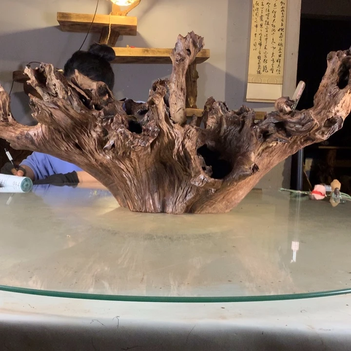 气***号天然云南紫柚木会黄水