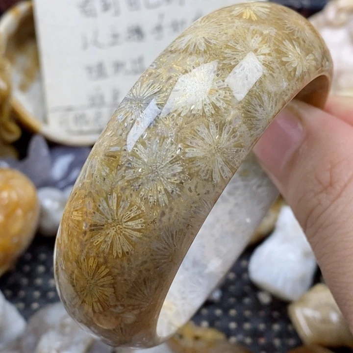 颈饰未镶嵌硅化珊瑚（珊瑚玉）56