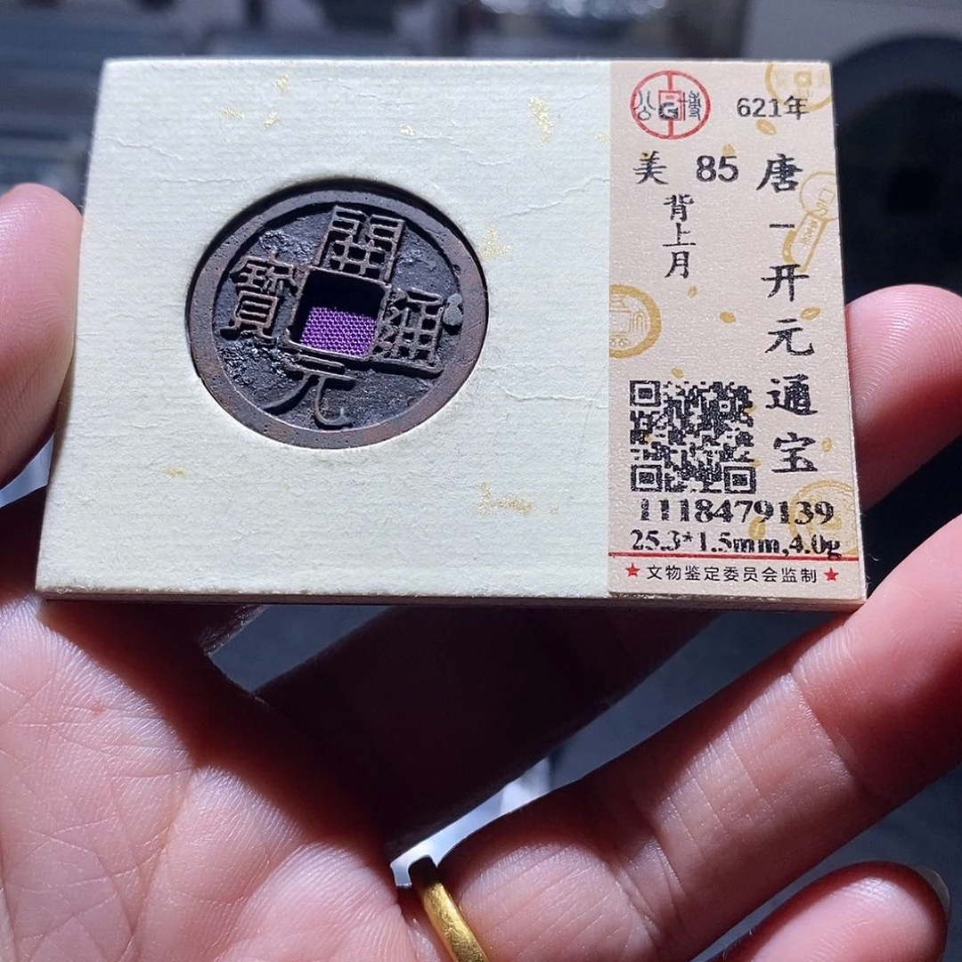 贝壳10 恭喜发财恭喜发财