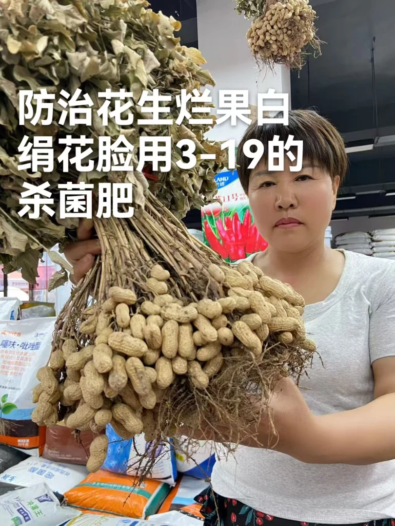 防治花生烂果白绢花脸用3-19的专用肥