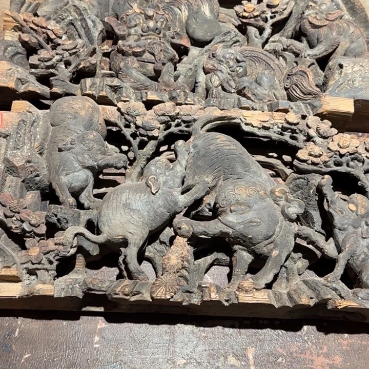 大***A香榧木一一一一一一一一一