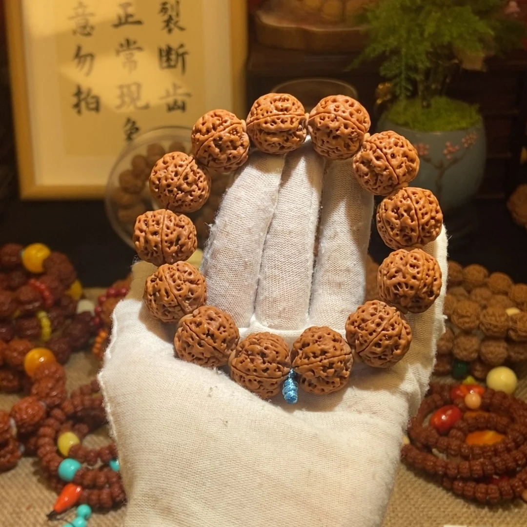 金刚菩提吊坠205原籽