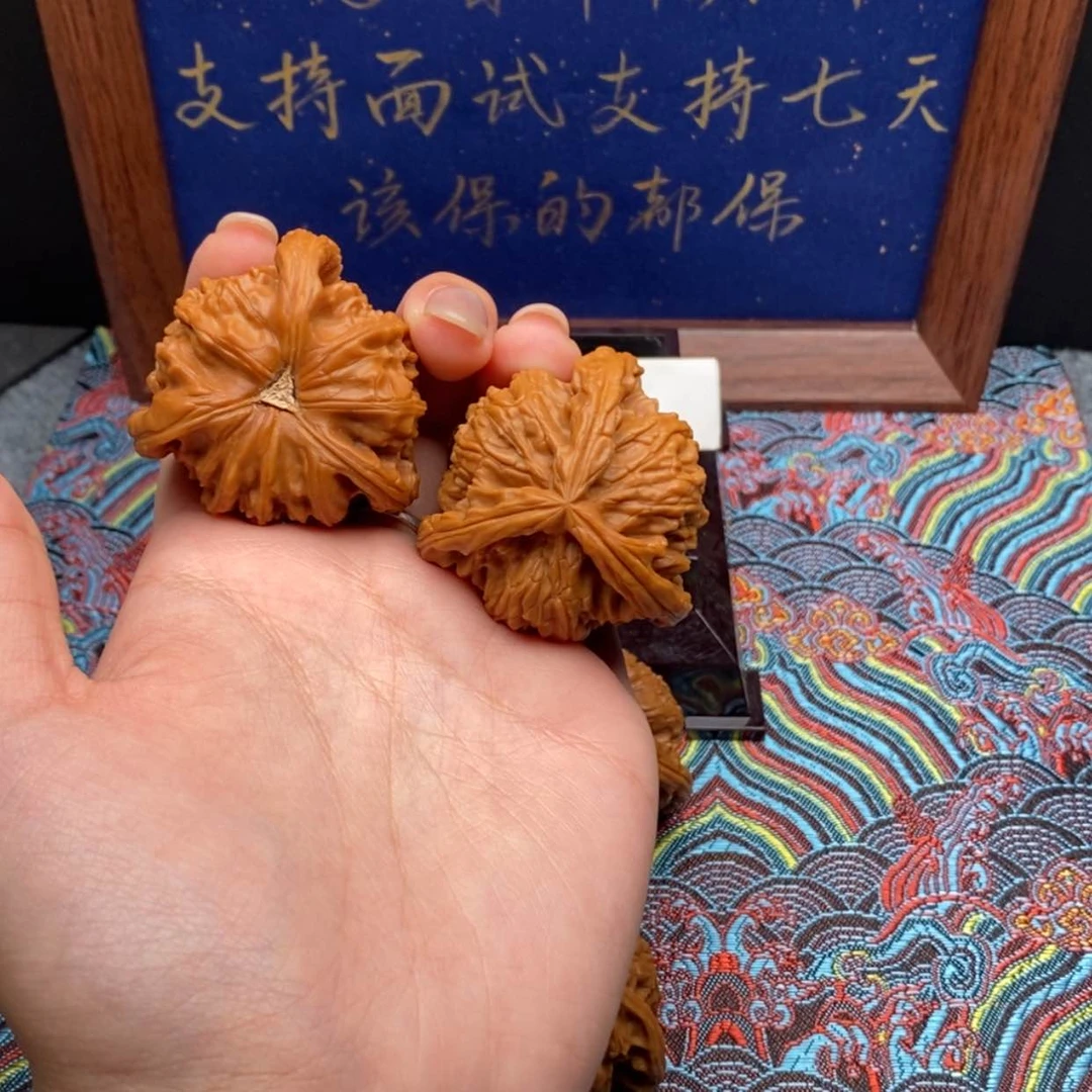 【闪购商品】L白狮