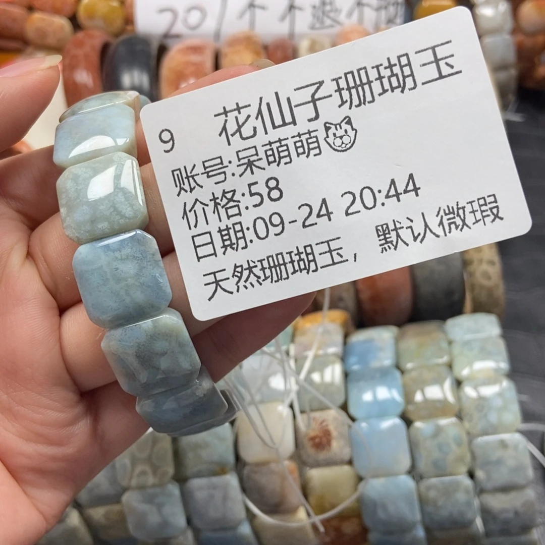 呆****未镶嵌硅化珊瑚（珊瑚玉）珠宝半成品9