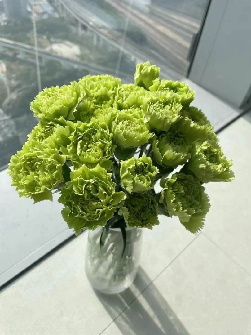 套餐29 喷色薄荷绿桔梗一小把6朵+绿康10支+花叶绿翡翠绣球一支