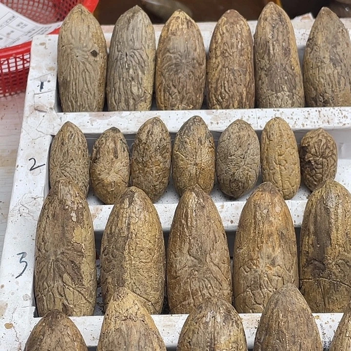 寻***鱼千眼菩提吊坠11111111111