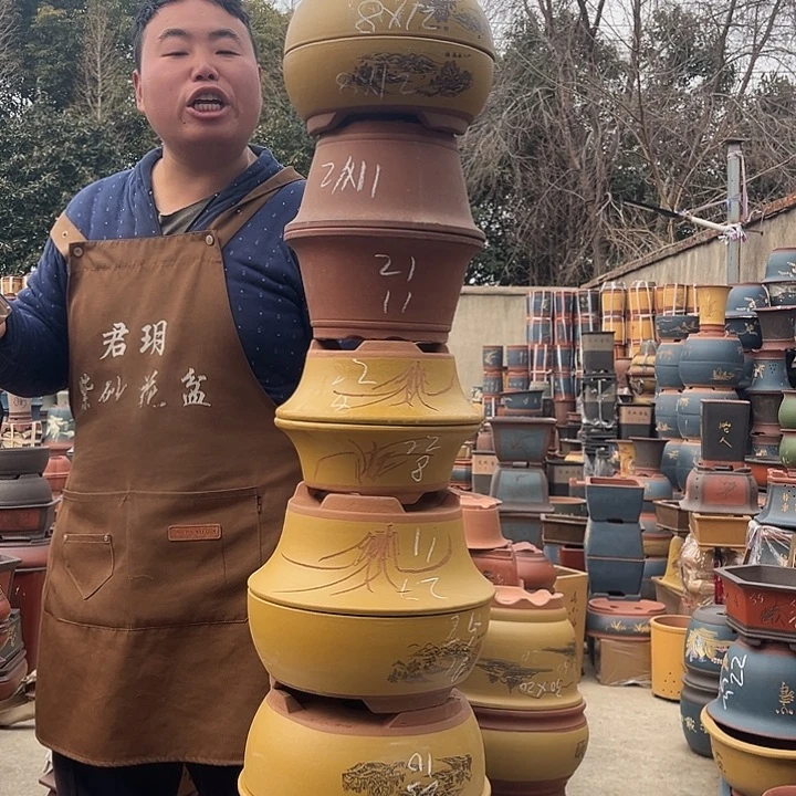 紫砂紫砂花盆盆栽