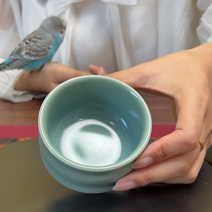****园018主人杯传统工艺茶器