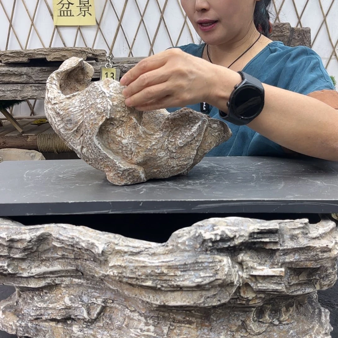 盆景盆盆景盆P1-001