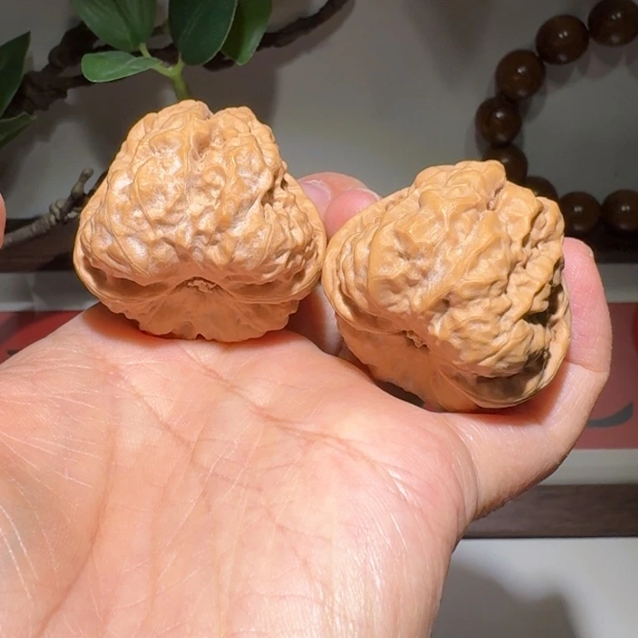 文玩核桃吊坠41蓟县山地蛤蟆头（有修不是全品）