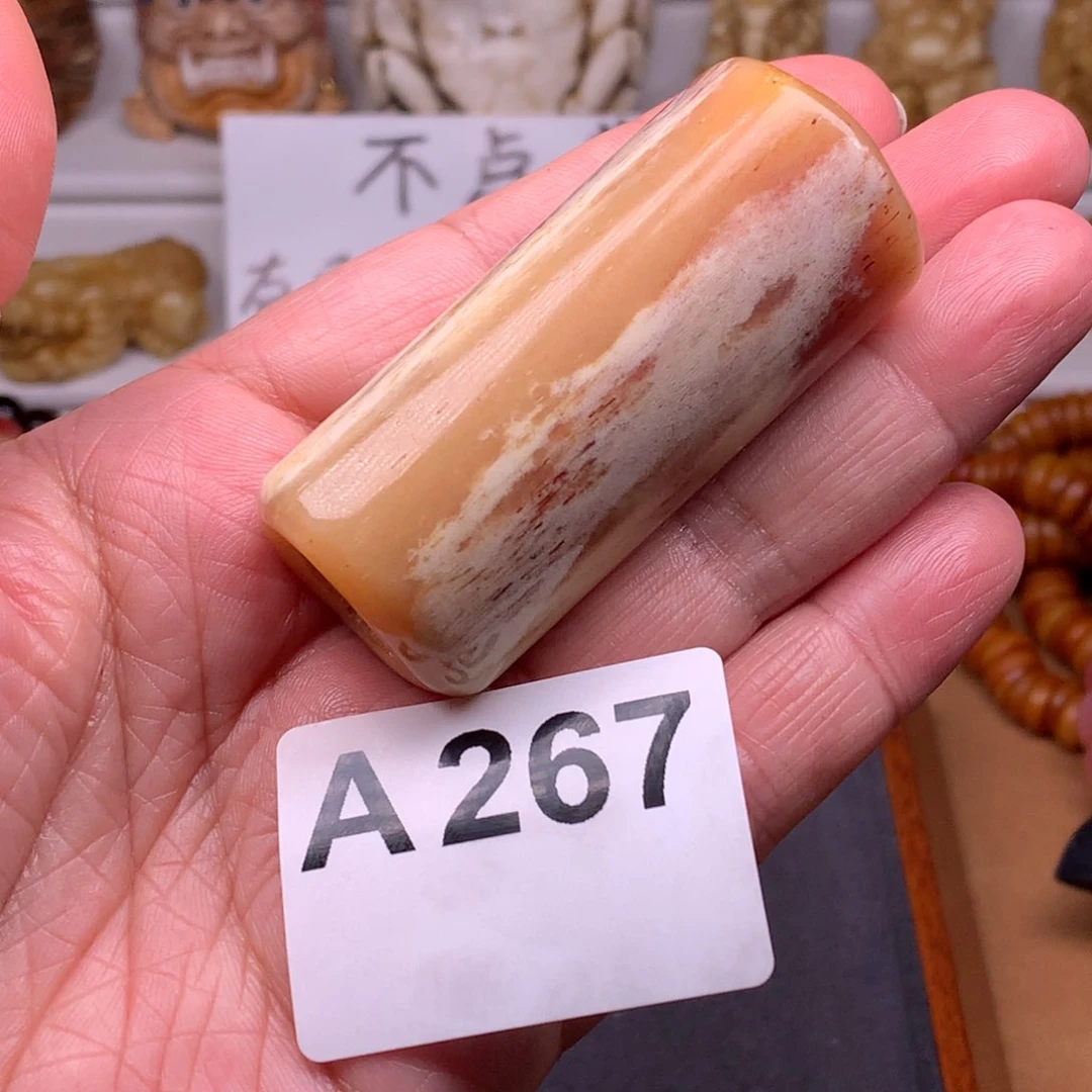 驼骨其他天天都在盘