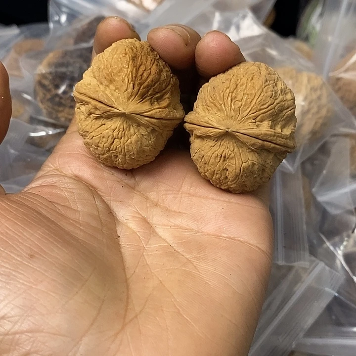 核桃云南铁核桃基地23