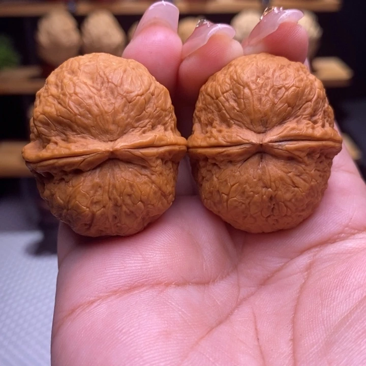 Z***兽木质类云铁保山化石3号39尺