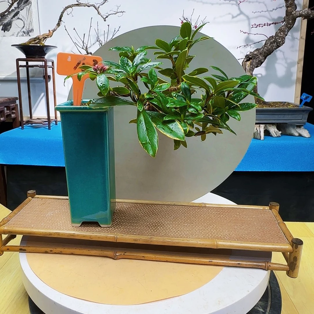 无铅玻璃黑****2d f g b k k k