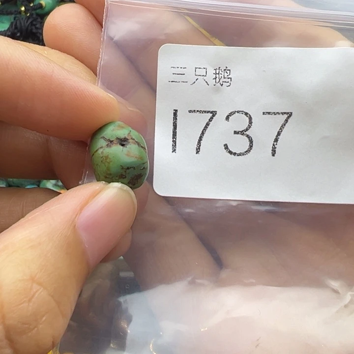 菩提根/象牙果吊坠