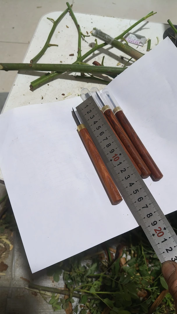 4毫米宽一把，三角梅金蛋子山木香刺梨蔷薇果树嫁接离皮刀