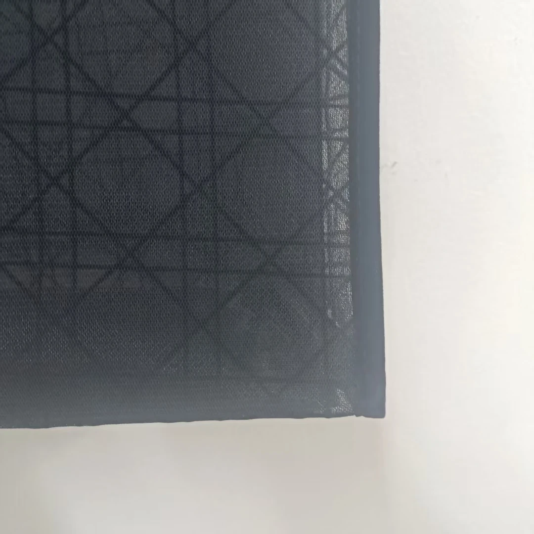 小迪迪啊~黑色大网纱包包