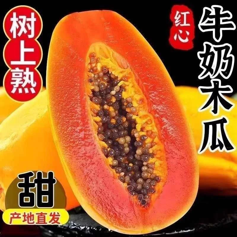 【雷州】红心牛奶木瓜5斤树熟冰糖心新鲜应季水果孕妇水果