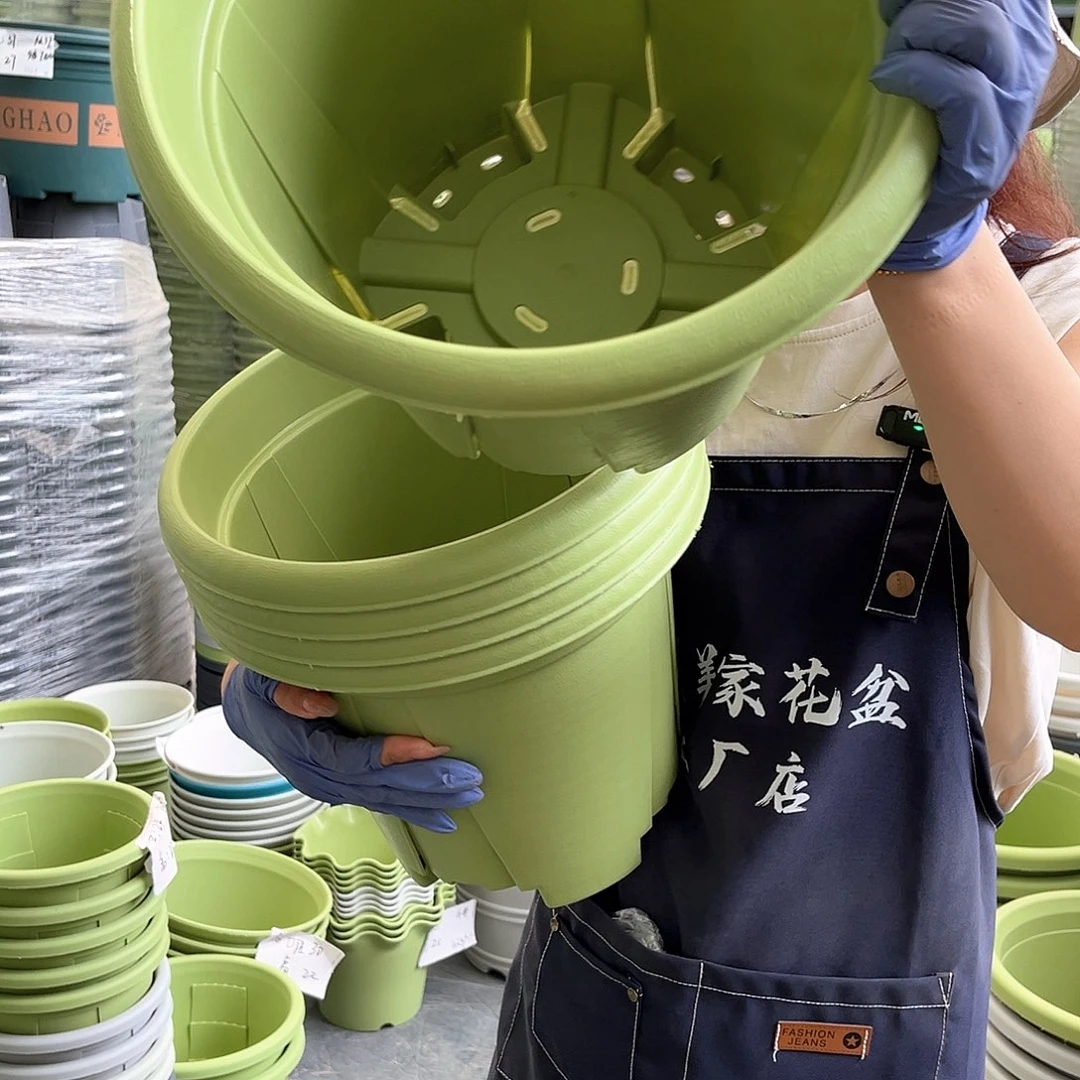 青山盆6#果绿色5个无托