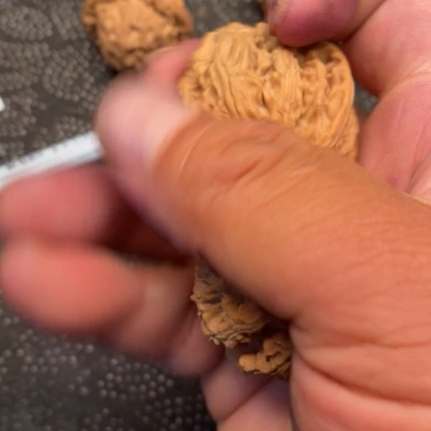 文玩核桃把件苹果10