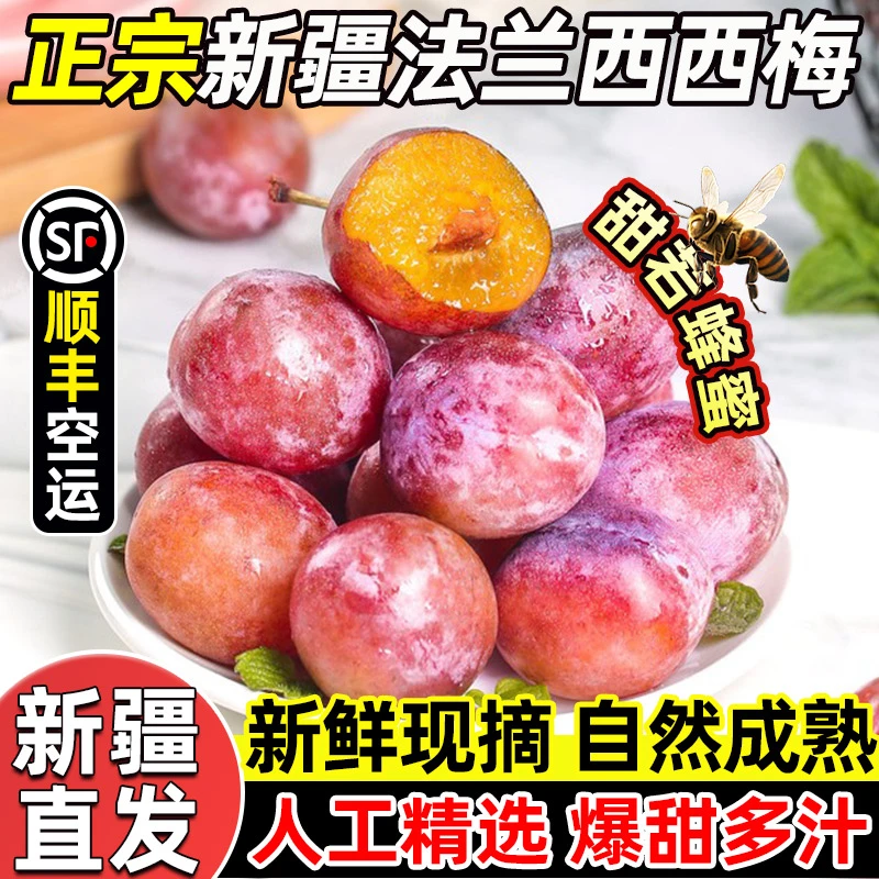 【顺丰发货】新疆直发 正宗伽师法兰西西梅 新鲜水果礼盒中秋节送礼