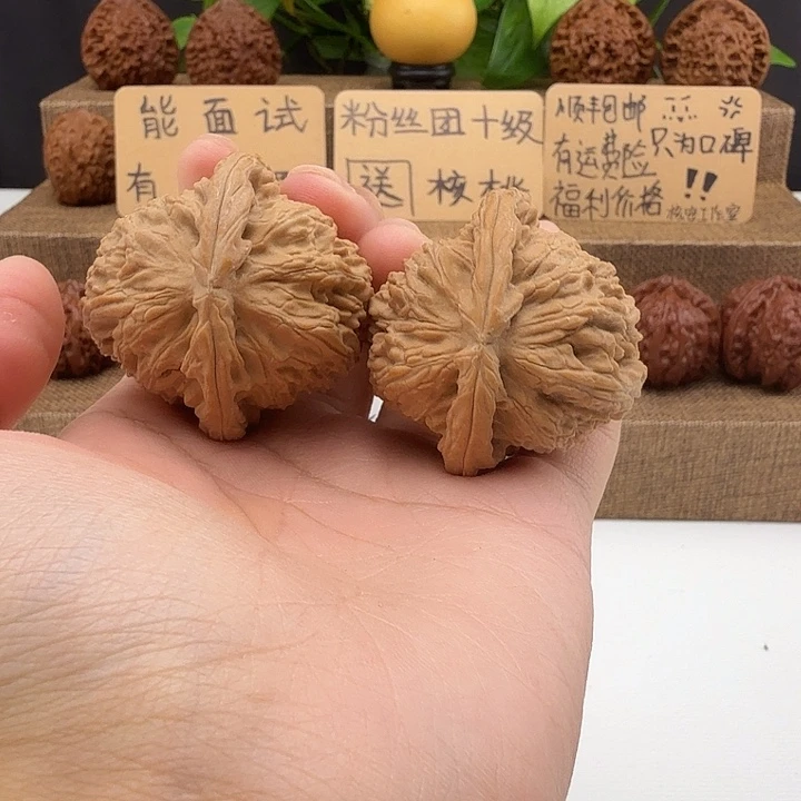 全品白狮子45/43/39