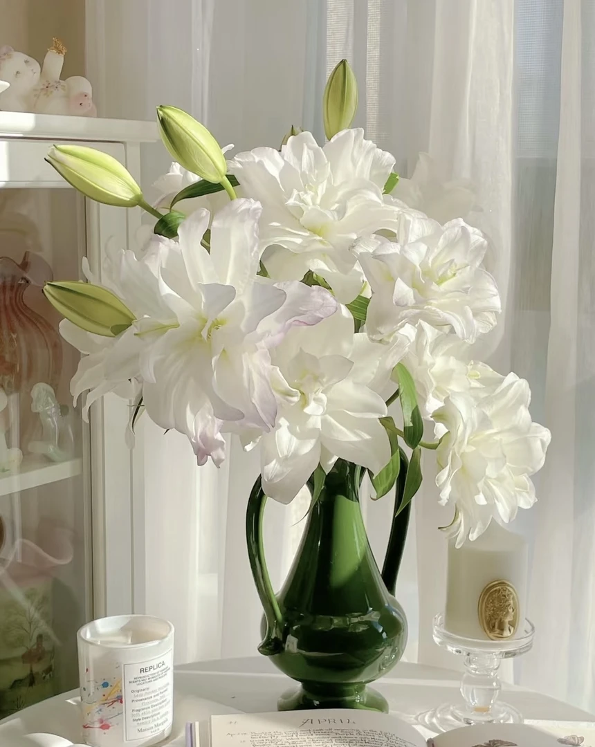 【葡噗专属】冰美人重瓣香水百合   基地直发