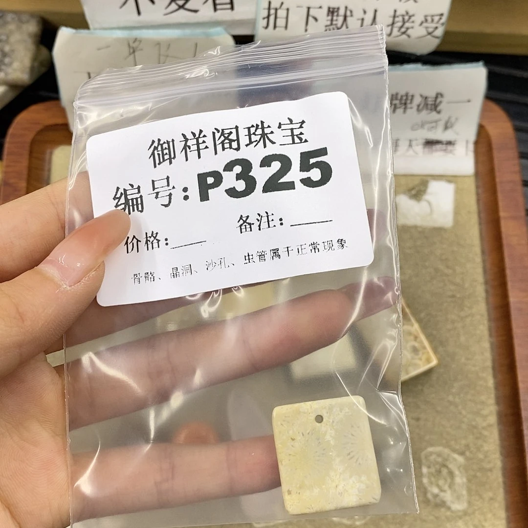 硅化珊瑚（珊瑚玉）未镶嵌颈饰?****S