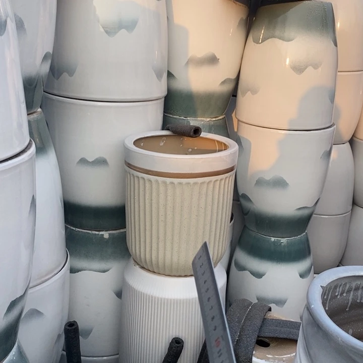 低腰奶茶金边白大号口31/35