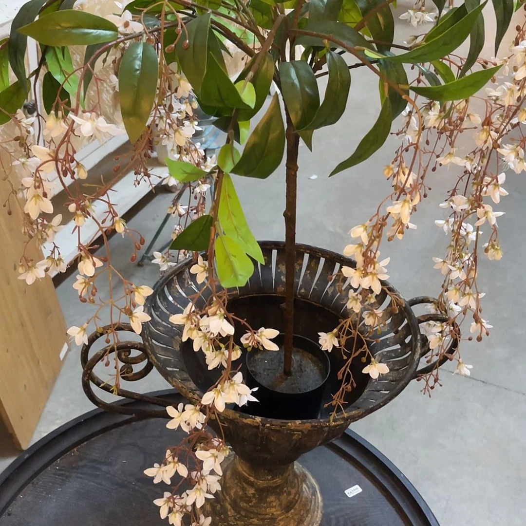 仿真绿植安提克斯拍了说已拍