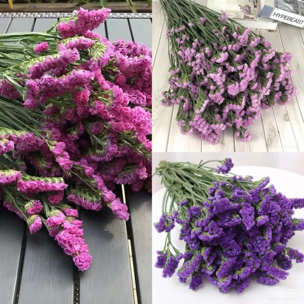 顺丰包邮 次日达 可放干的鲜花 勿忘我鲜花约1斤（买一单送营养液。本店任买二单送花瓶）顺丰快递同城配送上门