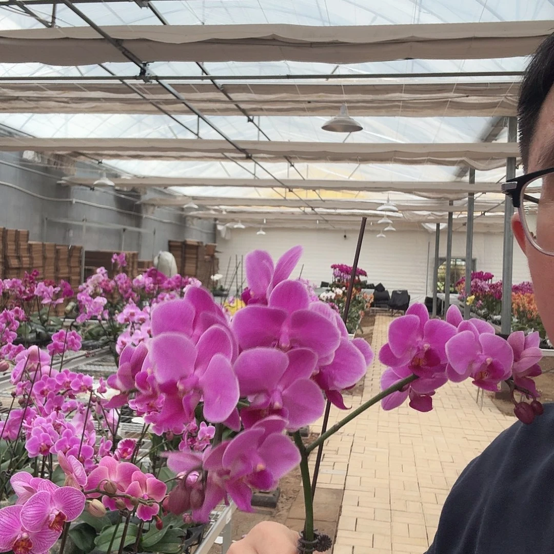 完全开放婚宴3.0加高