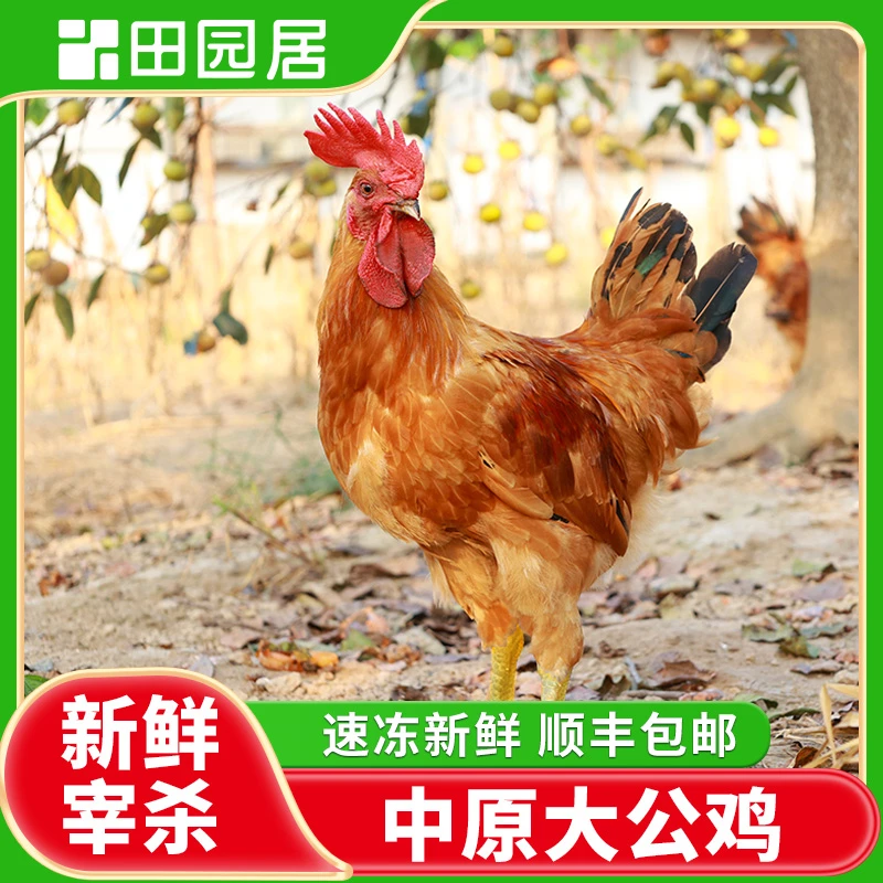 【田园居】田园公鸡 两只装 单只净重3.5-4斤 包冰率不含冰