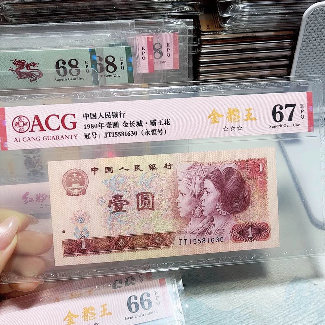 15581630。。。。金龙王