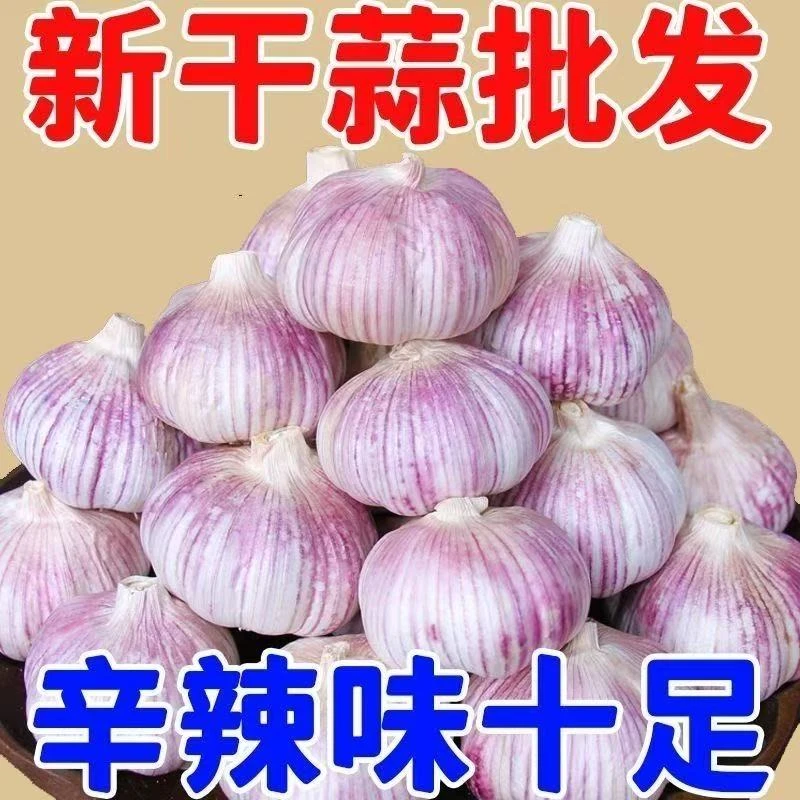 1【头茬干蒜】2025年新干蒜紫皮蒜红蒜多瓣蒜产地直发农家自种