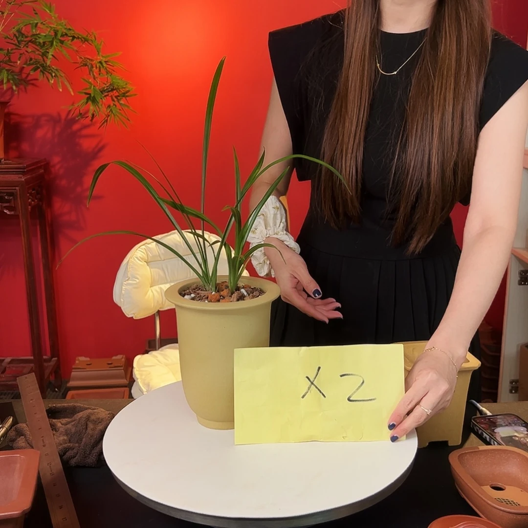 1***n花盆紫砂紫砂花盆
