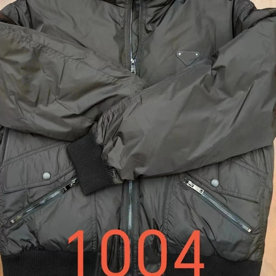 1004 男士新款立领羽绒服
