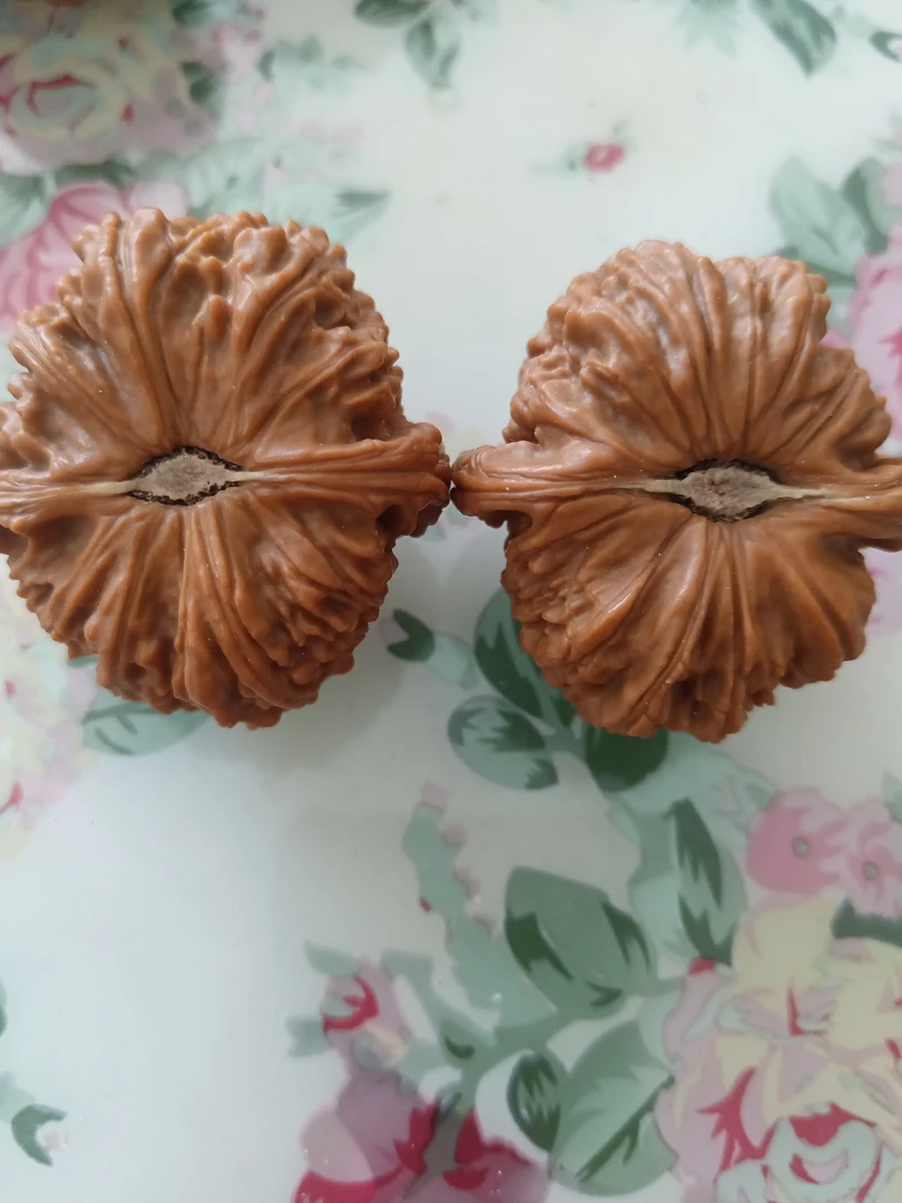 闷尖白狮子头文玩核桃手把件粗筋原色老核桃