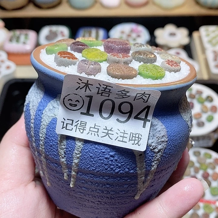 精美盆栽 好看又可爱1094