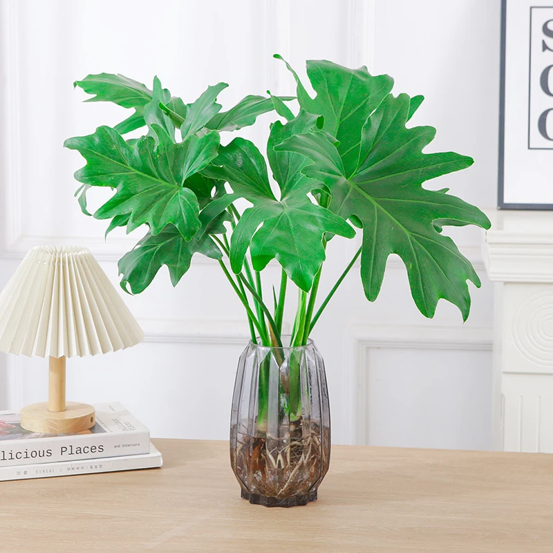 水培植物春羽盆栽蔓绿绒室内龟背竹春雨绿植常青绿萝好养办公桌面