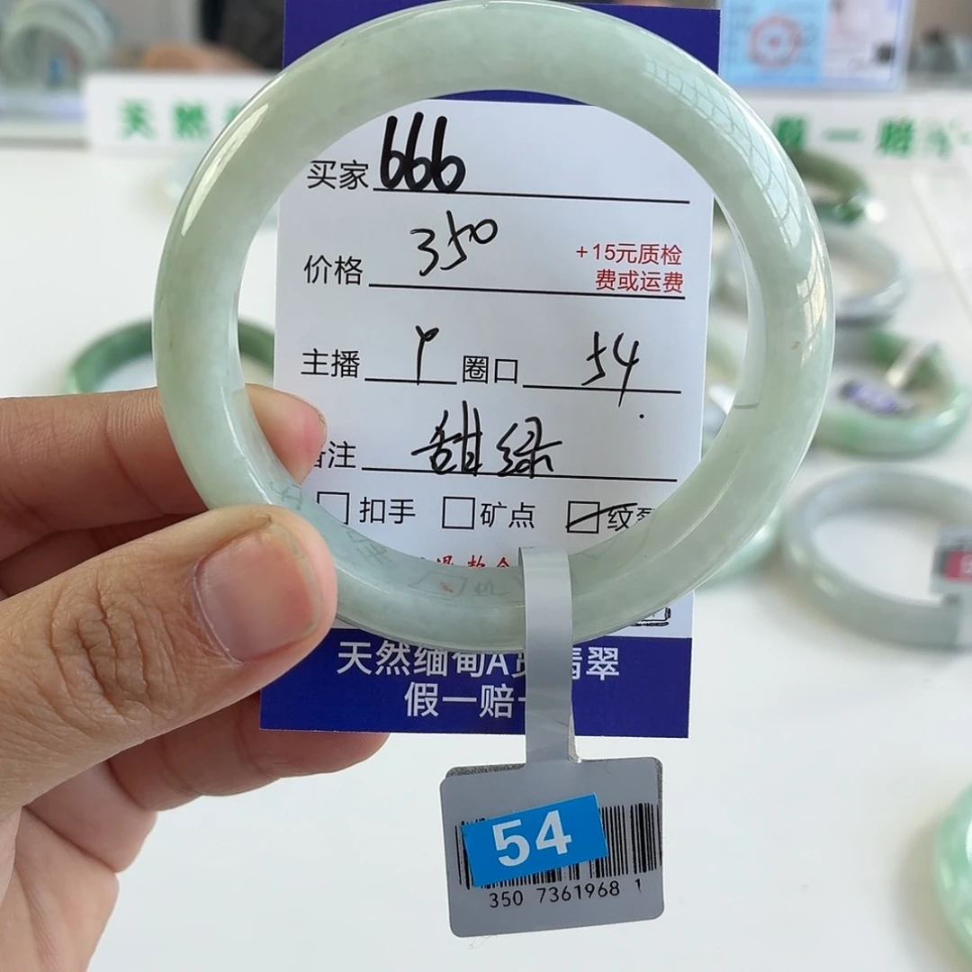翡翠未镶嵌手镯54