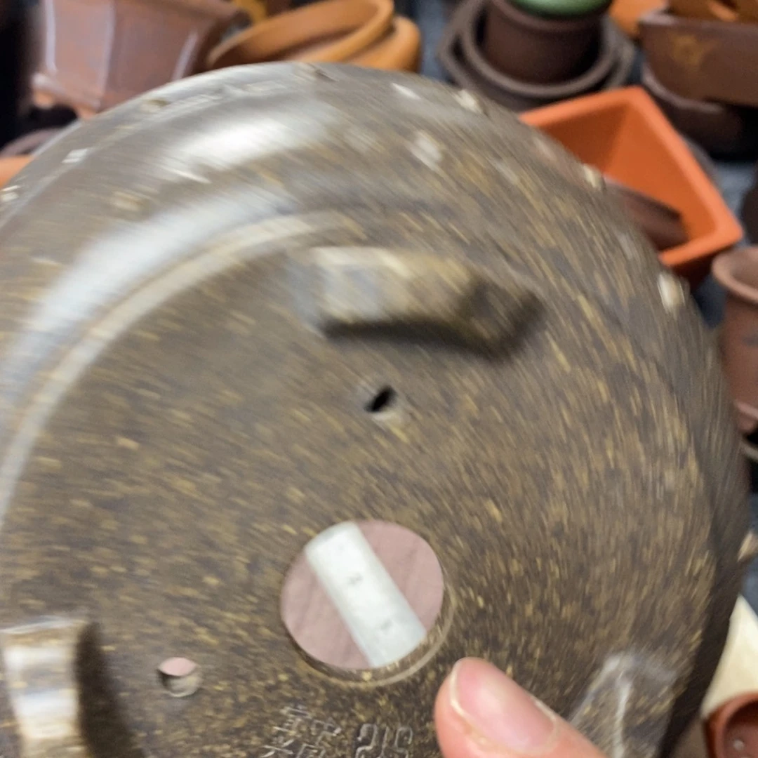 泥塑vvvvvvvvvvvvvvvv