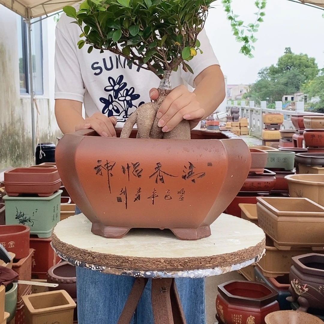 紫砂花盆紫砂花盆