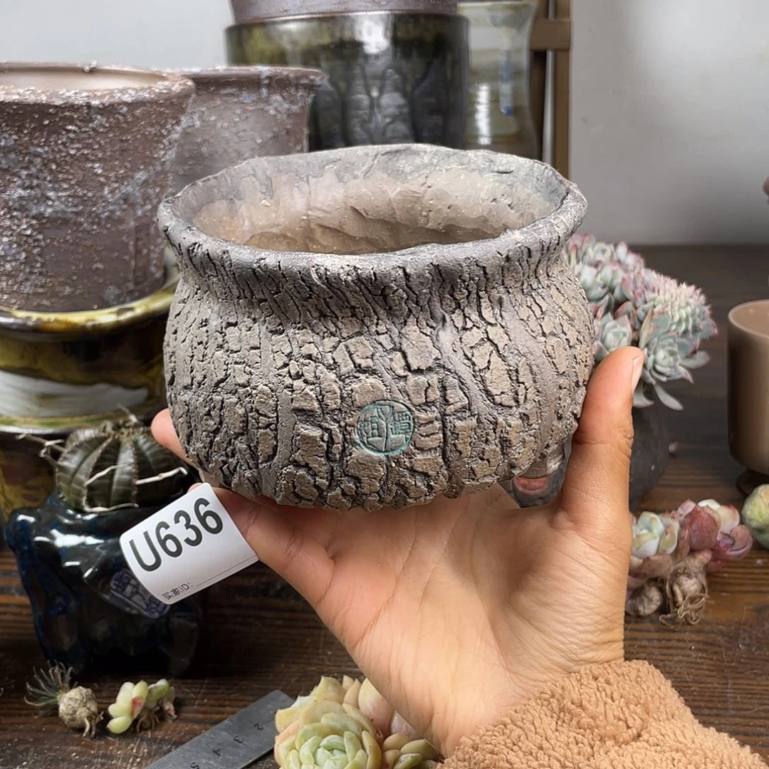 默认微次 元旦福利 坛子姐花盆